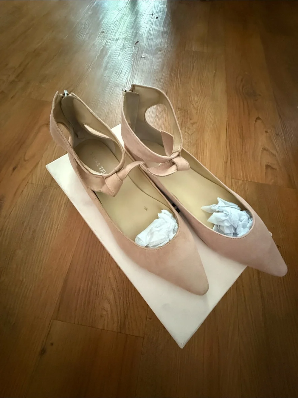 Ivanka Trump Blush Pink Branded Shoe Box